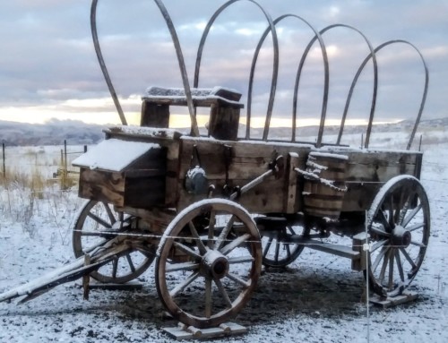 An Oregon Trail Wagon – Another stroke on the canvas of Timber Butte