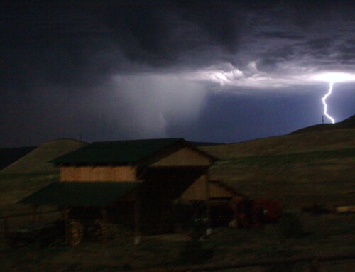 A Perfect Storm Brewing